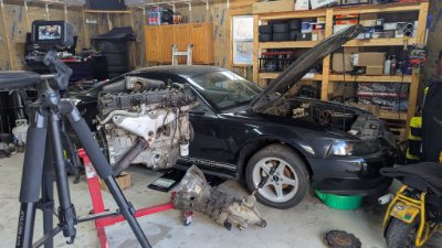 Mustang 1.jpg