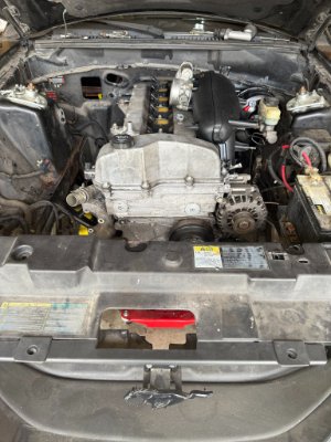 Mustang 3.jpg